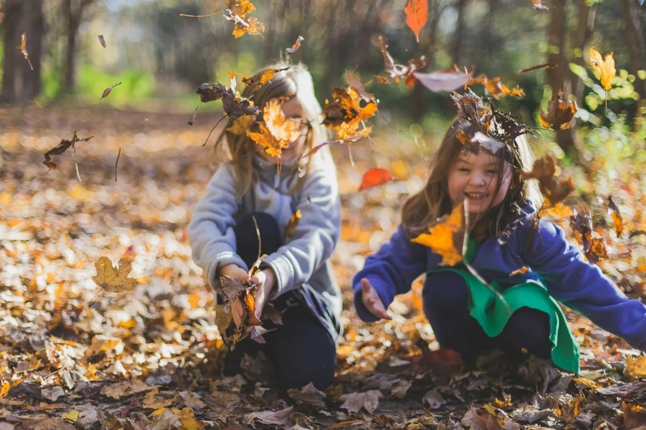 Two children play in autumn leaves