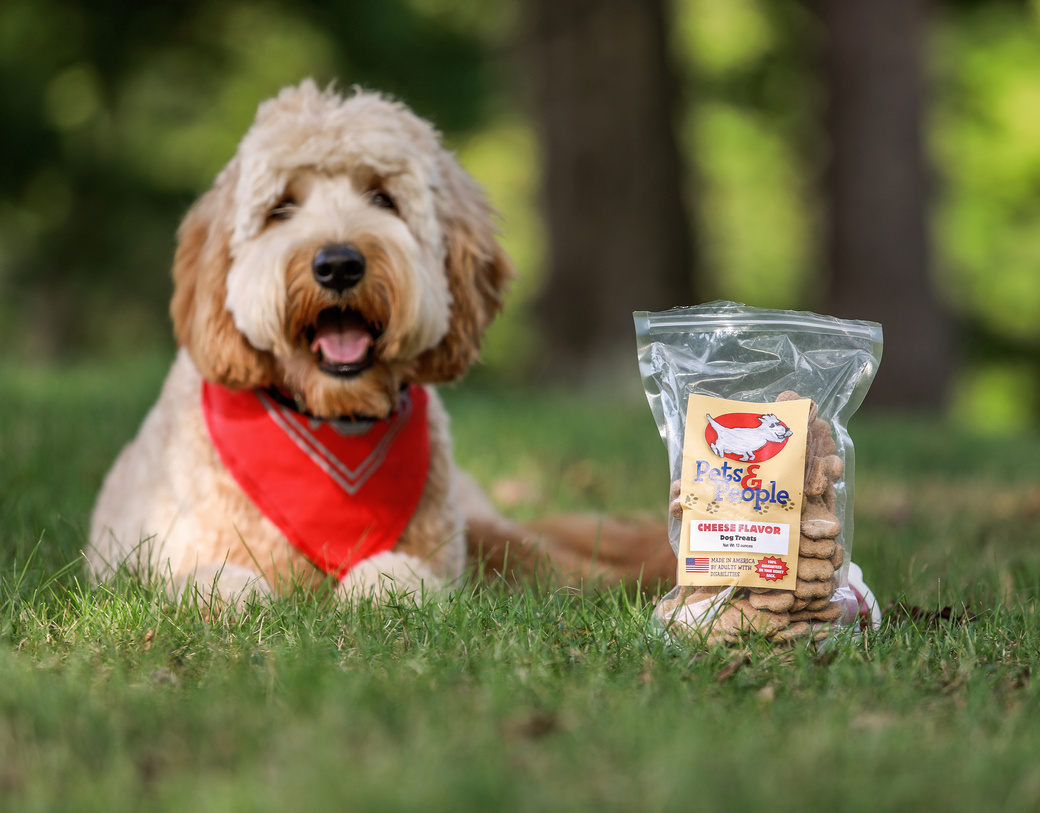 Dog wearing a red bandana, sitting in grass next to bag of dog treats.