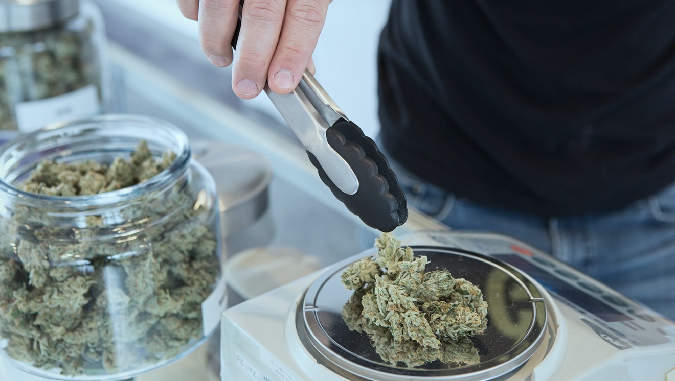 Person using tongs to weigh marijuana on a scale