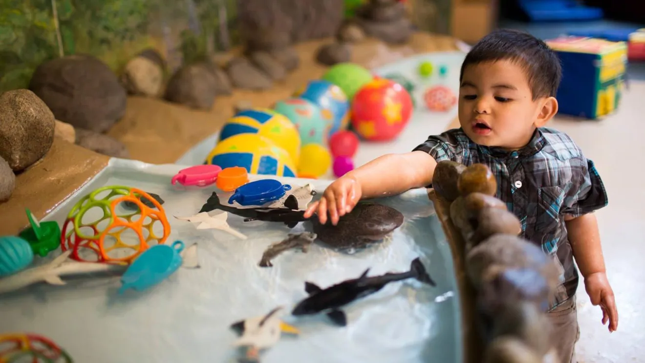 Boy playing