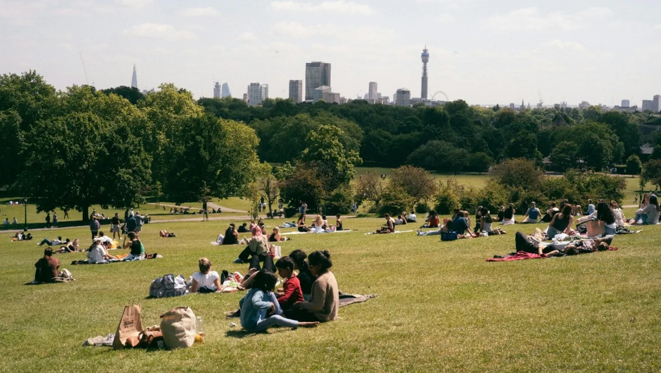 People sitting in a grassy park