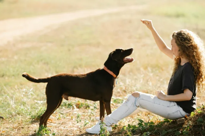 a girl training a dog