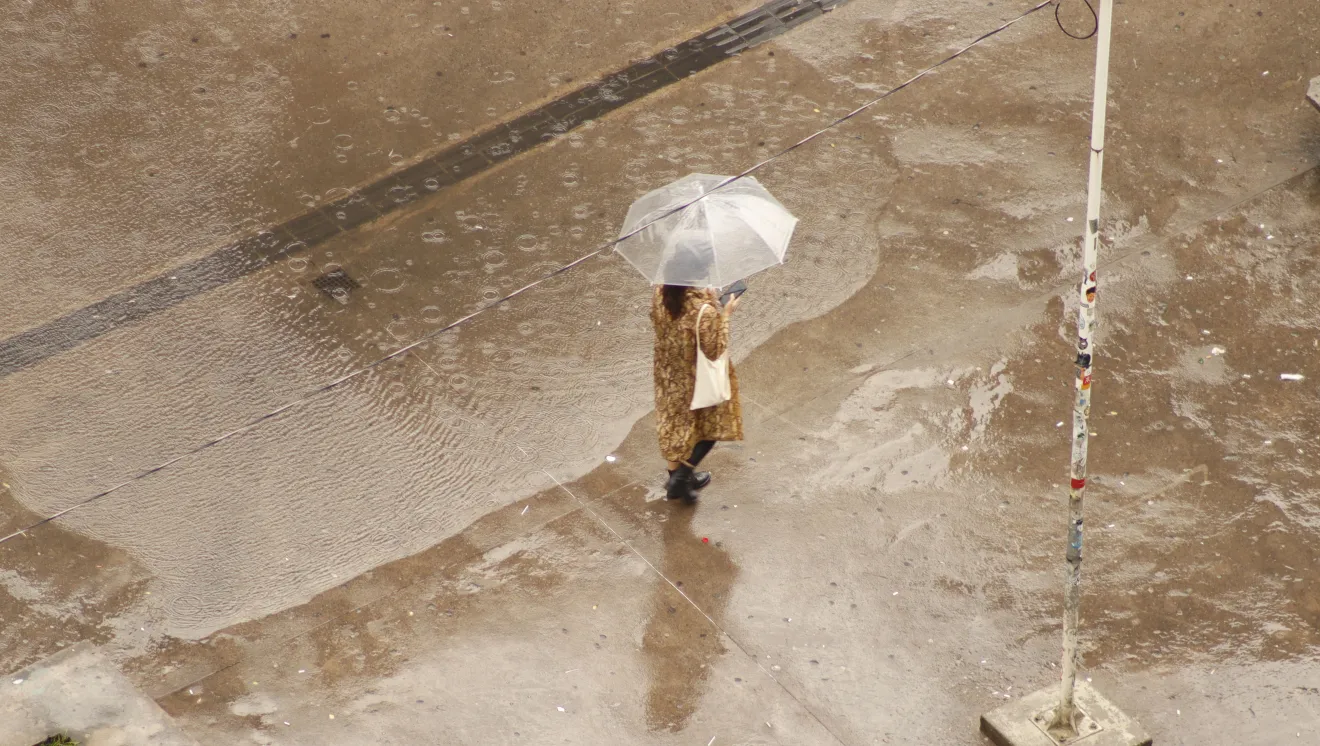 umbrella