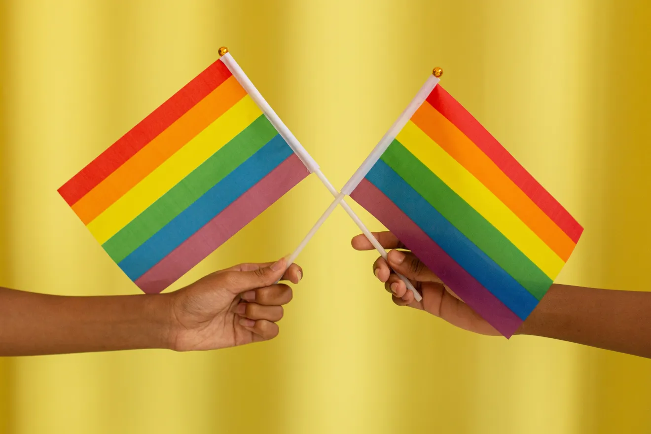 lgbtq+ flags